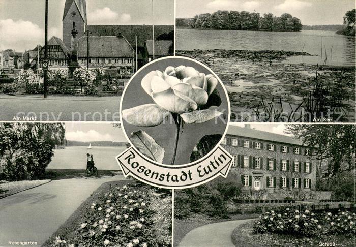 Eutin Rosenstadt im Naturpark Holsteinische Schweiz Markt Kirche Rosengarten See
