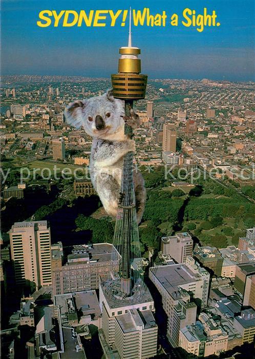 Sydney  NSW Australia Fliegeraufnahme Sydney Tower