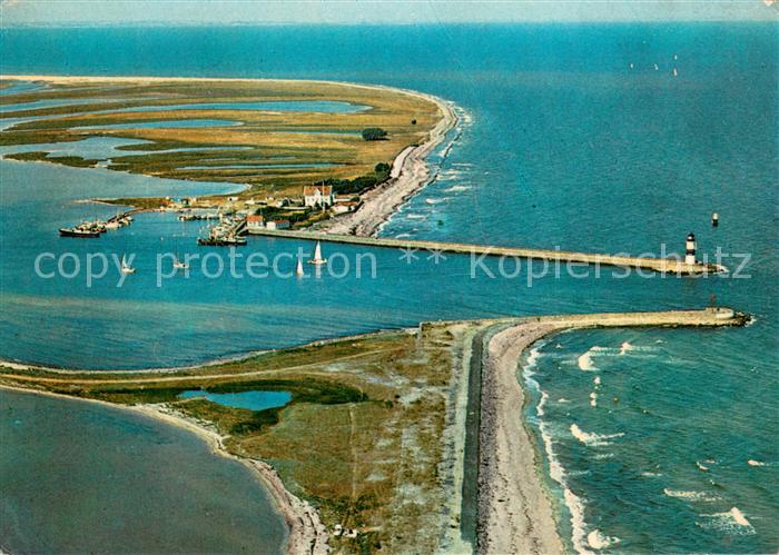 Schleimuende Fliegeraufnahme