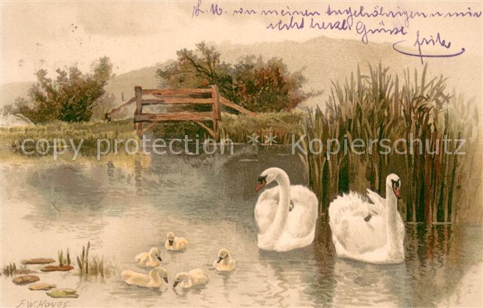 Schwan F.W.Hoyes Serie 1281 Schwaene