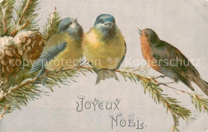 Voegel Birds Oiseaux Uccelli Pajaros-- C.Kapal  Frohe Weinachten