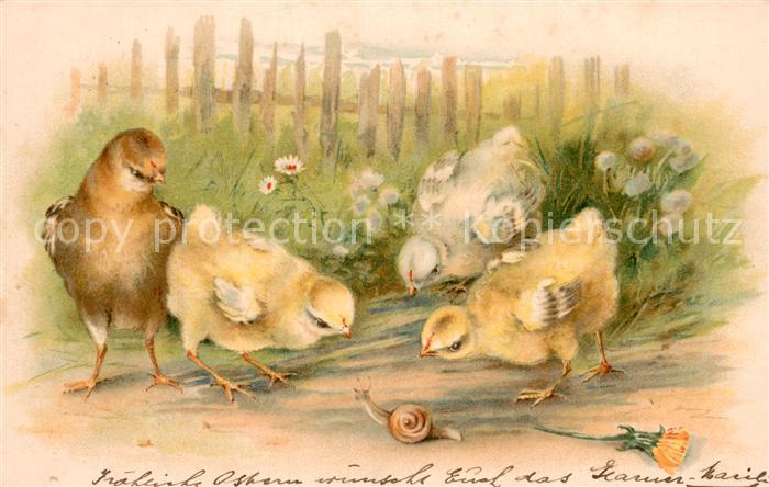 Lithographie Kücken