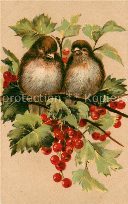 Voegel Birds Oiseaux Uccelli Pajaros-- Voegel