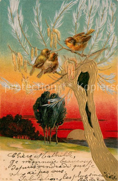 Voegel Birds Oiseaux Uccelli Pajaros-- V.S.M. Voegel auf Baum