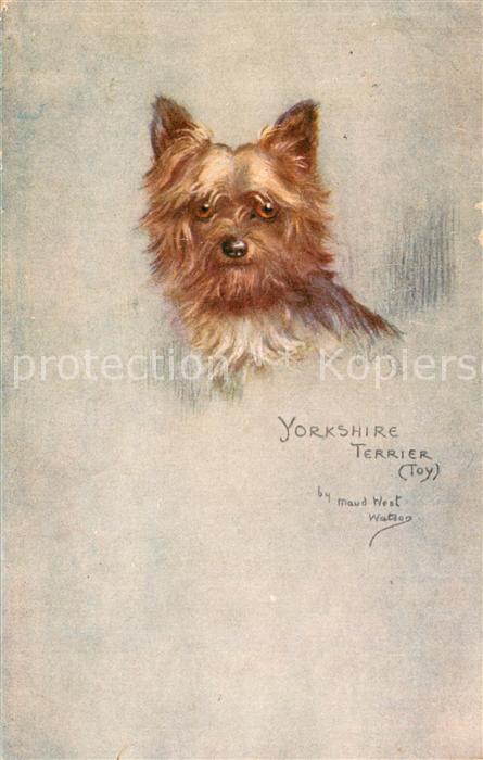 Verlag Tucks Oilette Serie Yorkshire Terrier
