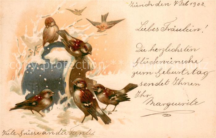 Voegel Birds Oiseaux Uccelli Pajaros-- n Winter