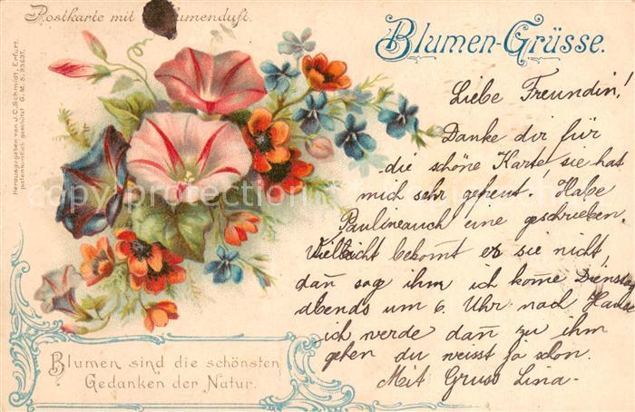 Blumen Grüsse