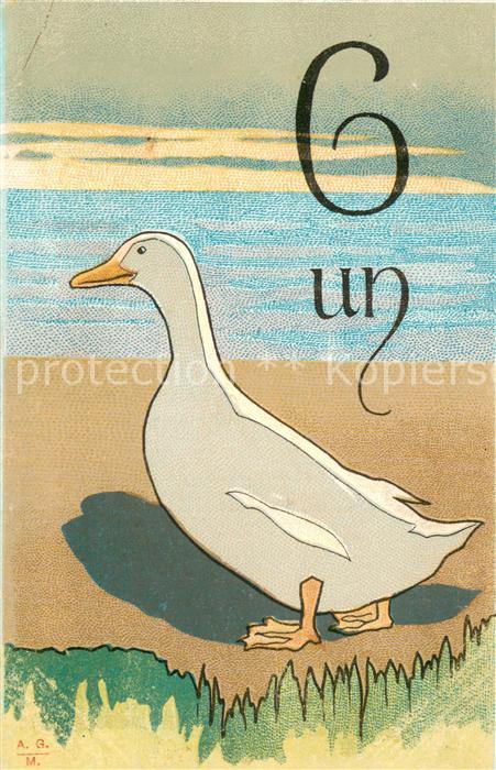 Gefluegel Litho Gans