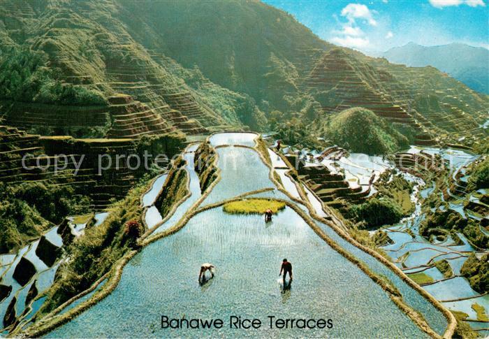 Landwirtschaft Banawe Rice Terraces