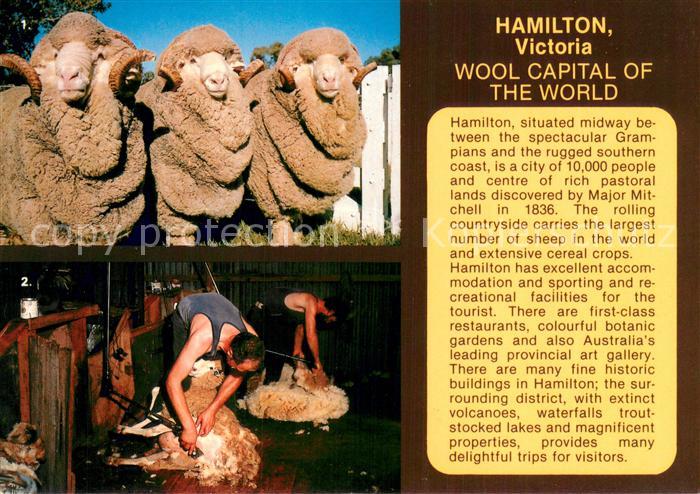 Schaeferei Landwirtschaft Hamilton Victoria