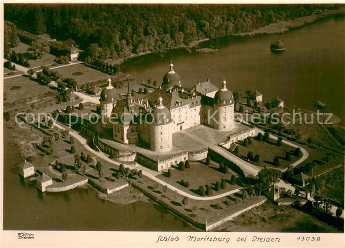 Foto Hahn Nr. Schloss Moritzburg bei Dresden