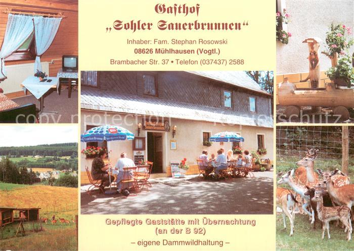 Muehlhausen Vogtland Gasthof Sohler Sauerbrunnen Tierpark Dammwild Holzbrunnen L
