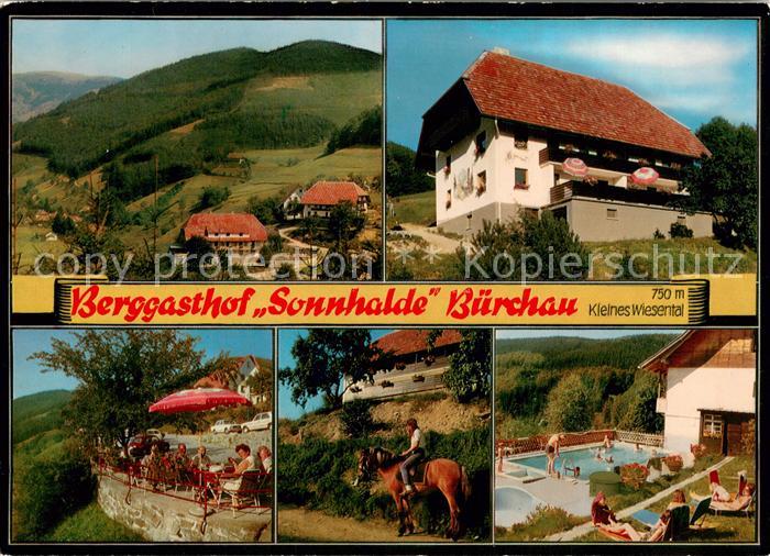 Buerchau Berggasthof Sonnhalde Reiten Swimming Pool Kleines Wiesental Schwarzwal