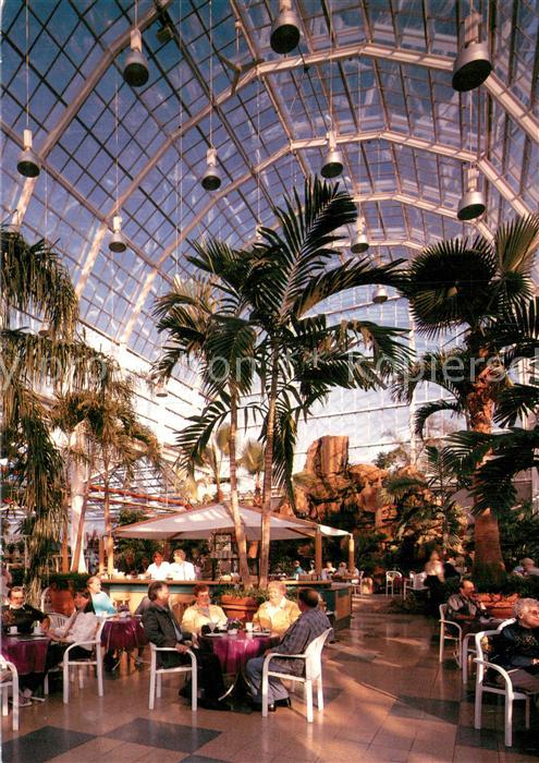 Koeln  Rhein Dingers Garten Center GmbH Cafe Palmenhaus