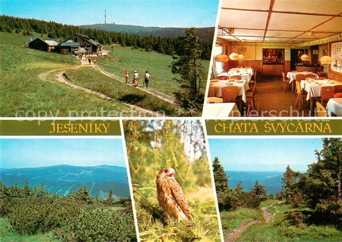 Jeseniky CZ Turisticka chata stoji na lucinatem svahu Maleho Deda pri hlebenove