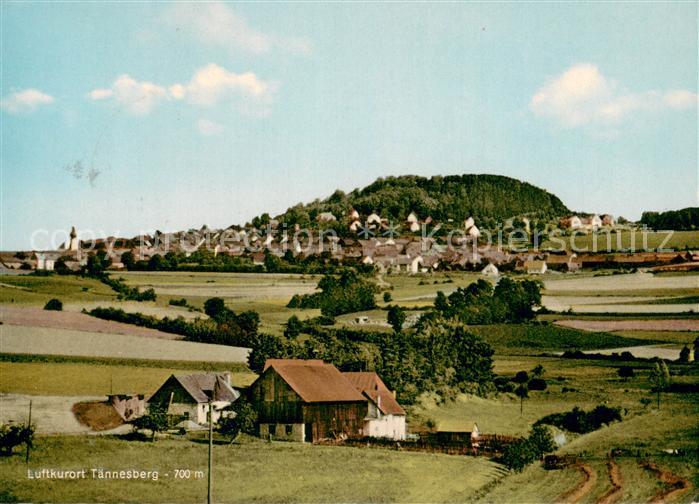 Taennesberg Gesamtansicht Luftkurort