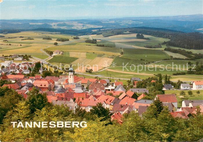 Taennesberg Panorama Erholungsort Landschaft Oberpfaelzer Wald