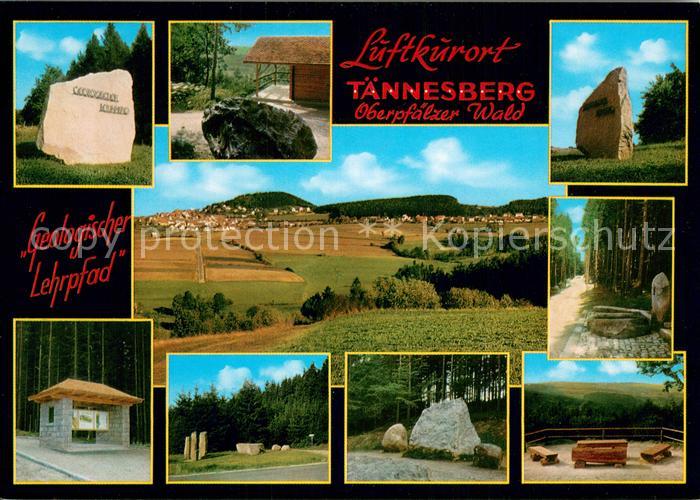 Taennesberg Panorama Ferienort Luftkurort im Oberpfaelzer Wald Landschaft Natur