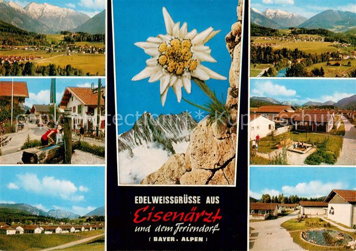 Eisenaerzt Gesamtansicht mit Alpenpanorama Ortszentrum Brunnen Edelweiss