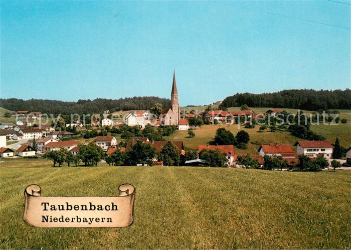 Taubenbach Niederbayern Ortsansicht mit Kirche