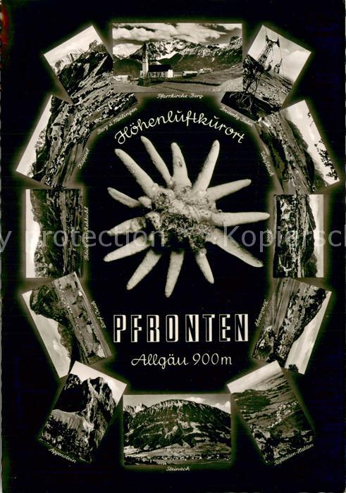 Pfronten Ostallgaeu Bayern und Umgebung Alpenpanorama Edelweiss