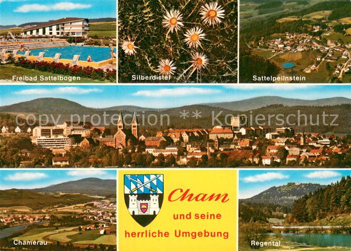 Cham Oberpfalz Freibad Silberdistel Stadtpanorama Regental Sattelpeilnstein Cham