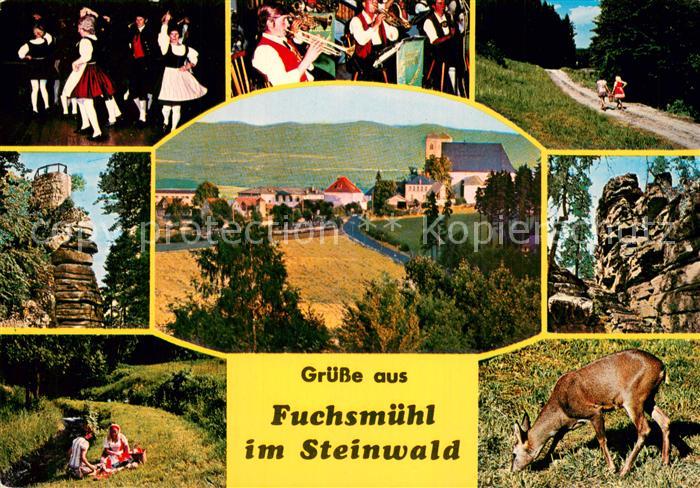 Fuchsmuehl Panorama Steinwald Felsen Natur Reh Folklore Musikkapelle