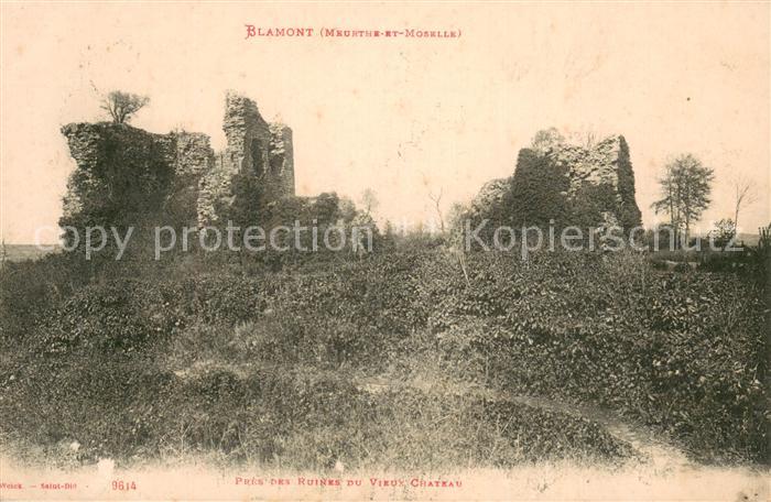 Blamont 54 Pres des Ruines du Vieux Chateau