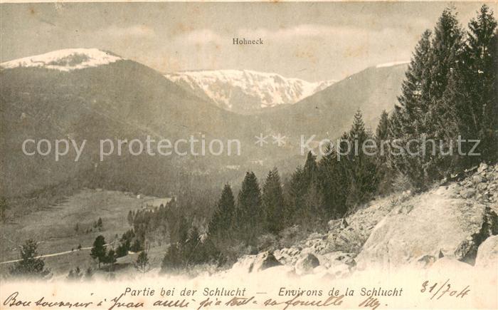 Hohneck Le 88 Vosges Panorama