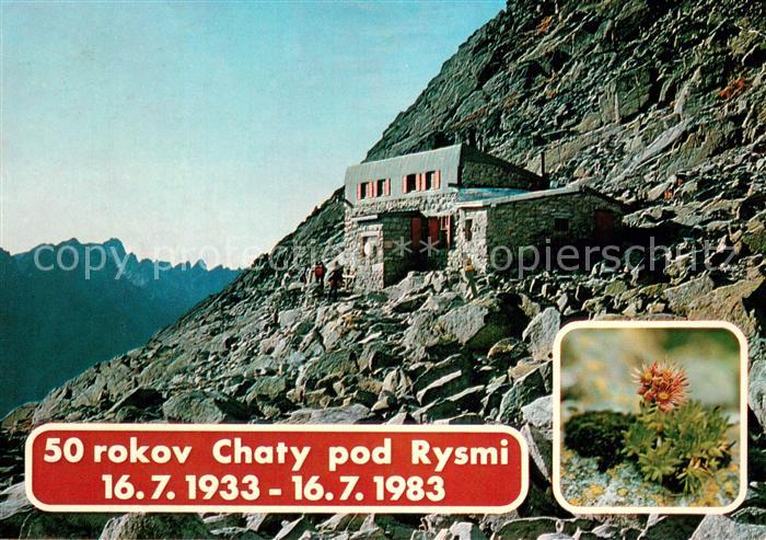 Vysoke Tatry Chata pd Rysmi Skalnica horska Skalna ruza