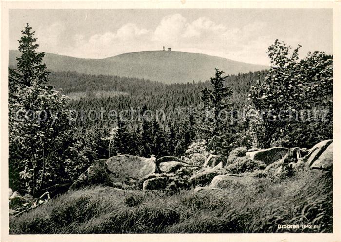 Brocken Harz Panorama