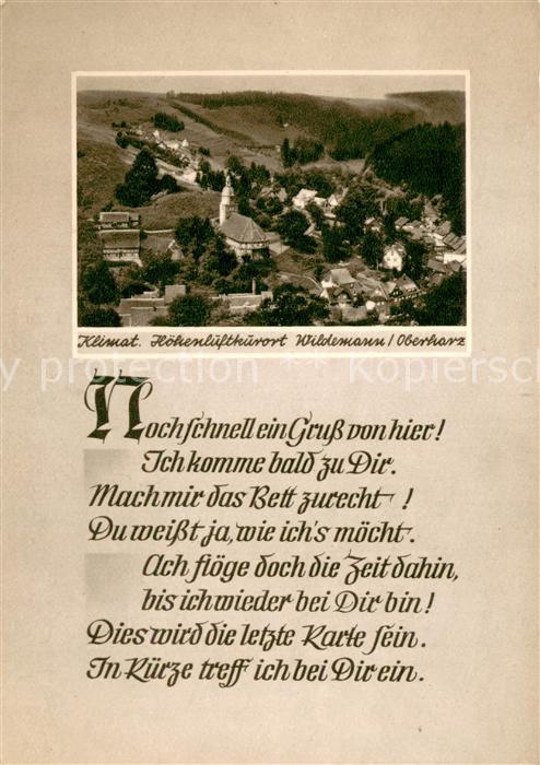 Wildemann Harz Goslar Niedersachsen Teilansicht m. Gruss-Spruch