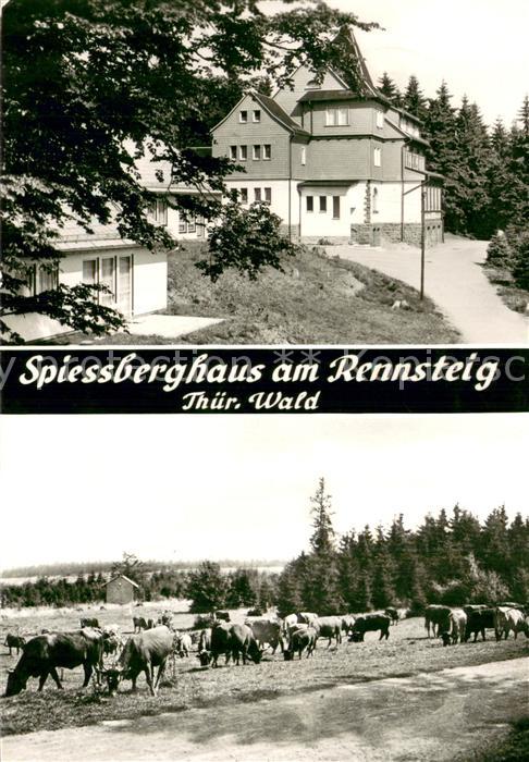 Rennsteig Spiessberghaus am Rennstein u. Kuhherde