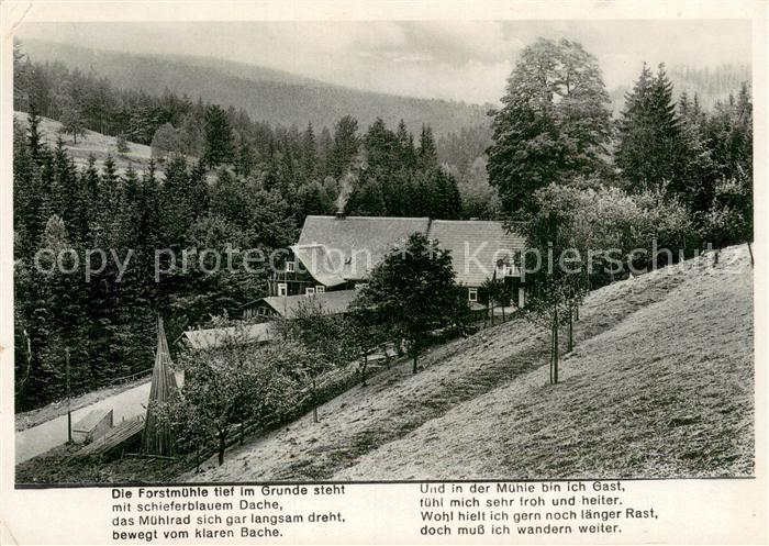 Krippen Bad Schandau forstmuehle im Krippengrund