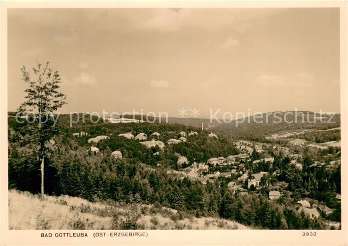 Bad Gottleuba-Berggiesshuebel Teilansicht