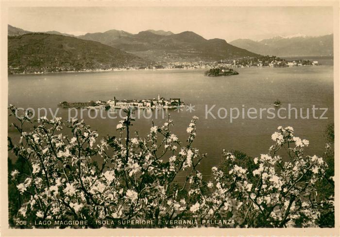 Isola Superiore Lago Maggiore Verbania Pallanza