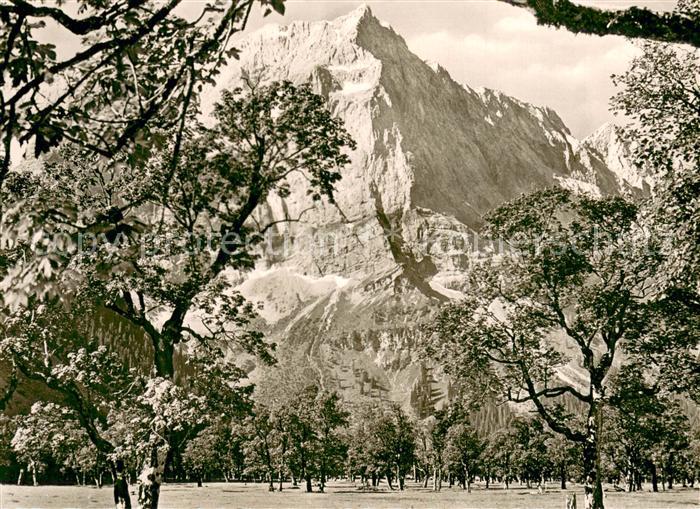 Karwendel Grosser Ahornboden in d. Eng m. Spritzkarspitze