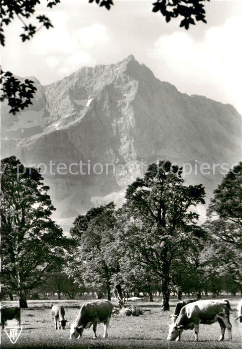 Karwendel Grosser Ahornboden in d. Eng m. Spritzkarspitze