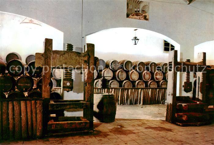 Llagostera ES Bodega Ramiro