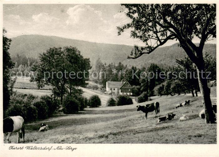 Waltersdorf Bad New-Sorge Kuhweide