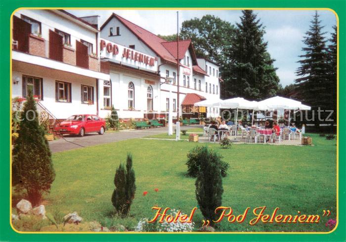 Swieradow Zdroj Bad Flinsberg PL Hotel Pod Jeleniem