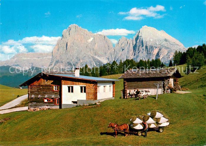 Seiser Alm 1700m Dolomiten Dolomiten Panorama Heuwagen