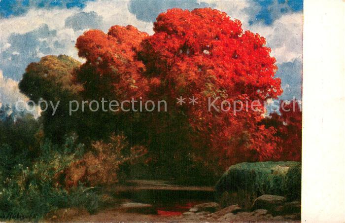 Persoenlichkeiten Ed. Ruedisuehli Rotbuchen