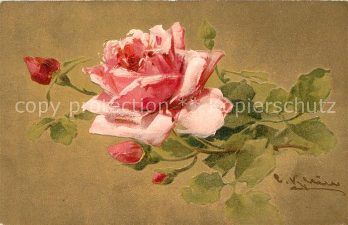 Klein Catharina Kuenstlerlitho Nr.5598 Rosse