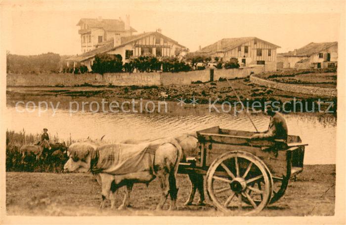 Landwirtschaft LB NR.82 Types Basques