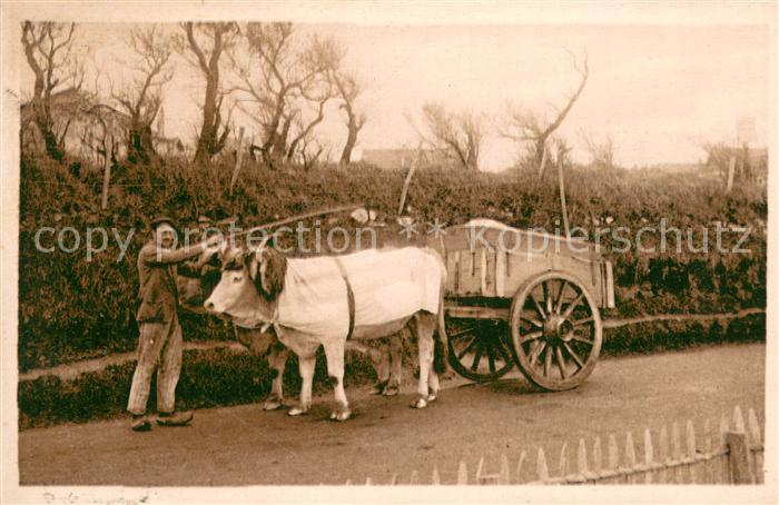 Landwirtschaft LF Nr.85 Types Basques