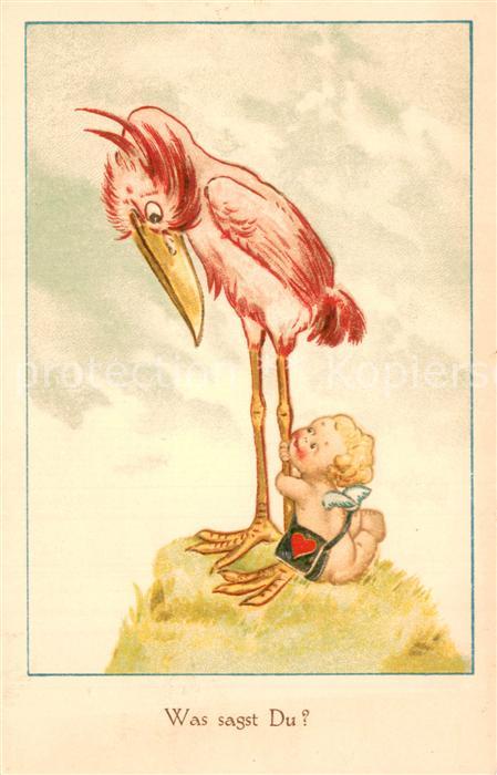 Storch Novitas Nr.50580 Was sagst Du?