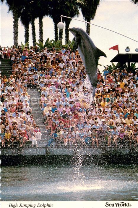 Delfine Delphine Dolphins Dauphins Delfines High Jumping Dolphin