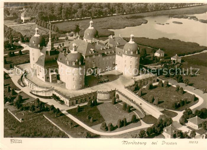 Foto Hahn Nr. Nr.10073 Moritzburg bei Dresden