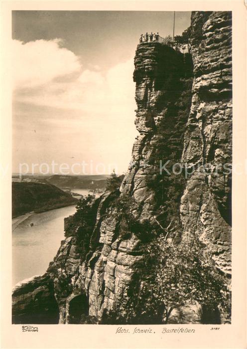 Foto Hahn Nr. Nr.3181 Sächs.Schweiz Basteifelsen